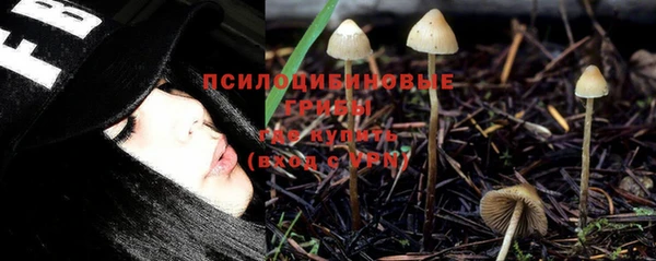 соль ск Алзамай